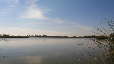 Lőrincz-tó, Pálmonostora
