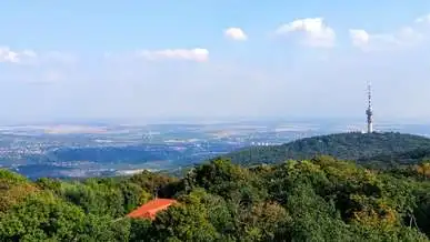TV-torony, Pécs