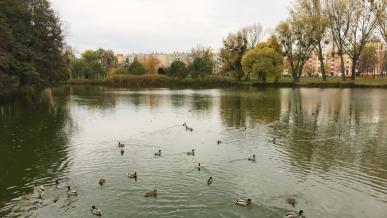 Csónakázó-tó és Szoborpark, Ajka