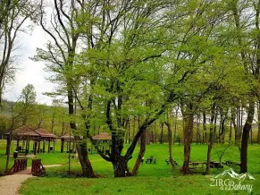 Alsóperei Nádasdy arborétum, Olaszfalu