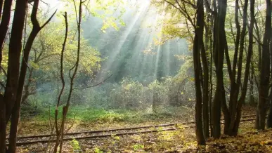 Cuha-völgyi pihenőpark és Erdei tanösvény, Bakonyszentlászló