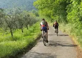 Balatonfelvidék-Kálimedence kerékpáros túra, Balatonalmádi