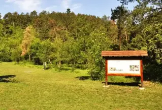 Büdöskúti Arborétum, Balatongyörök