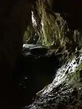 Báracháza barlang, Csákvár