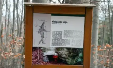 Bozsok Oriasok Utja Tanosveny