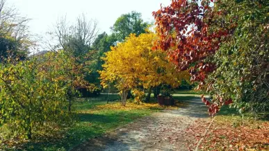 Budapest Budai Arboretum 2