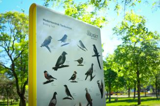 Átadták a Madárbarátok Tanösvényét a fővárosban