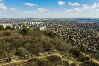 Budapest Roka Hegyi Kofejto 3