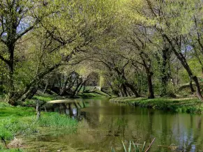 Doboz Kastelypark