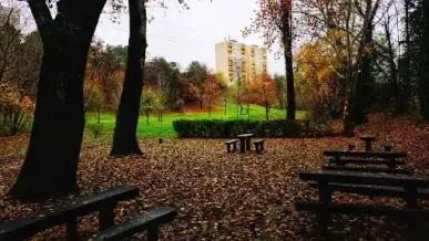 Dunaujvaros Baracsi Uti Arboretum 3