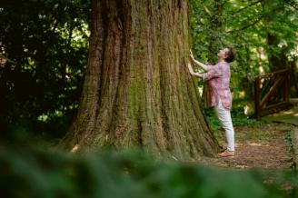 A termálvíz mellett az erdőben is fürödhetünk már Sárváron