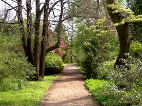 Erdőtelki arborétum, Erdőtelek