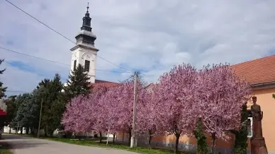 Református templom, Foktő