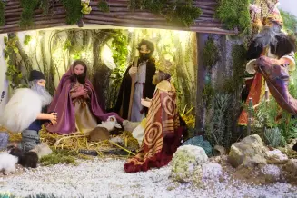 Guba Rozsa Babakiallitas 1 9