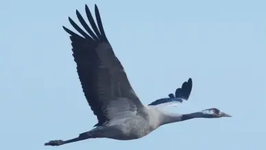 Hortobagy Nemzeti Park 2