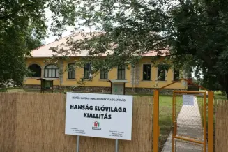 Hanság élővilága kiállítás, Kapuvár