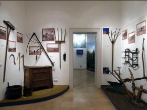 Karcagi Muzeum 5