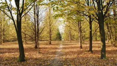 Kecskeméti Arborétum, Kecskemét