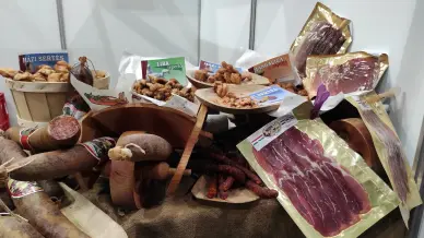 Kirandulastervezo Bakony Expo 2