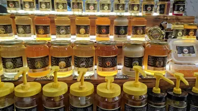 Kirandulastervezo Bakony Expo 4