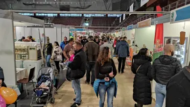 Kirandulastervezo Bakony Expo 5