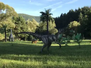 Kirandulastervezo Felsotarkany Dino Park