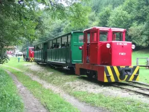 Felsőtárkányi Erdei Vasút, Felsőtárkány