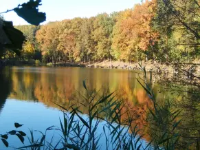 Tókaji Parkerdő, Kaposszerdahely