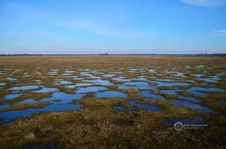 Kesznyéteni Tájvédelmi Körzet, Kesznyéten