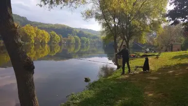 Sikondai Tavak, Komló