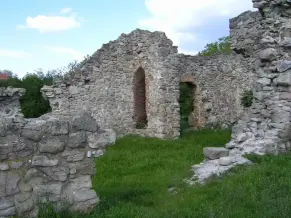 Árpád-kori templomrom, Mezőnyárád