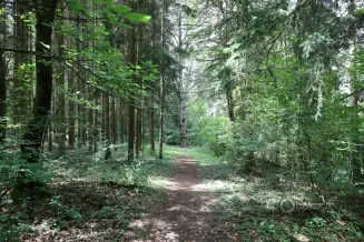 Kirandulastervezo Tar Tuzson Arboretum 3