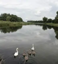 Kirandulastervezo Tiszaladany Tisza Holtag