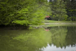 Kiscsehi Budafai Arboretum 3