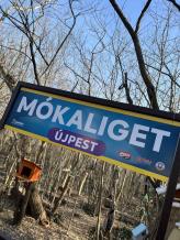 Elkészült a főváros első mókus- és madárparkja