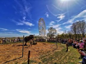 Éjszaka a nagykőrösi Safari Parkban