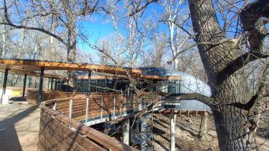 Nagykoru Lombkorona Setany 2