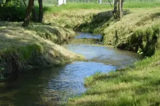 Nemetbanya Bitva Patak 2