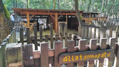 Nyirjesi Vadaspark 2