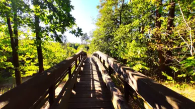 Nyirjesi Vadaspark 5