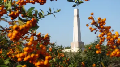 Katonai Emlékpark - Pákozd, Pákozd
