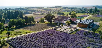 Apátsági Arborétum és Gyógynövénykert, Pannonhalma