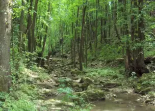 Kerteskői-szurdok, Bakonybél