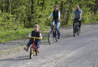 Sí- és bringás fejlesztések indulnak a Pilisi Parkerdőben
