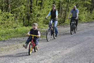 Pilisi Parkerdo Fejlesztes