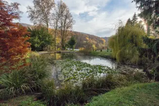 Puspokszentlaszloi Kastely Arboretuma 2