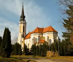 Szent Imre templom, Rönök