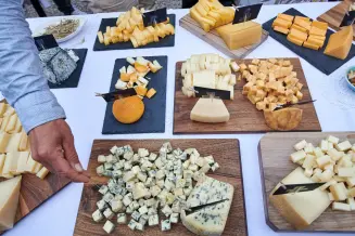 Sajtmustra Martonvásáron