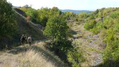 Macskalyuk tanösvény, Salgótarján