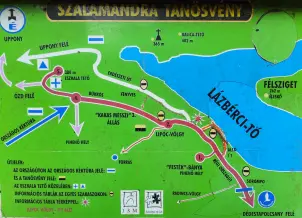 Szalamandra Tanosveny 6